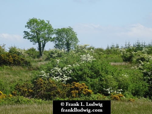 Around Lough Nasool